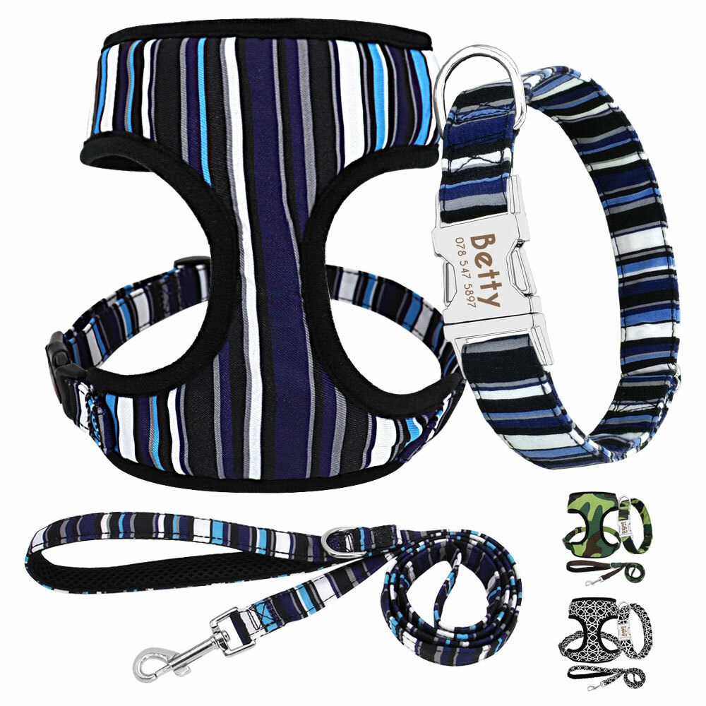 Dog Harness and Leash Set with Personalized Collar Custom Pet Name Soft Mesh XL