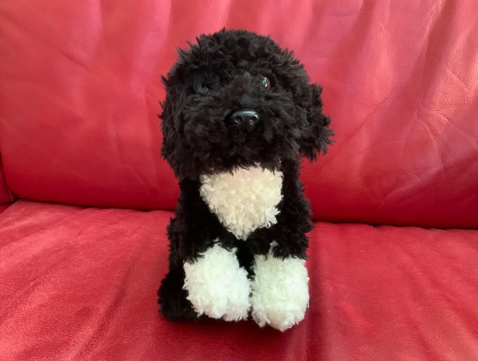 Webkinz signature cow and Portuguese water dog BUNDLE PREOWNED (NO CODE NO TAG) - Image 2 of 4