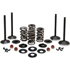 KPMI Complete Valve Kit - Evolution 20-22650