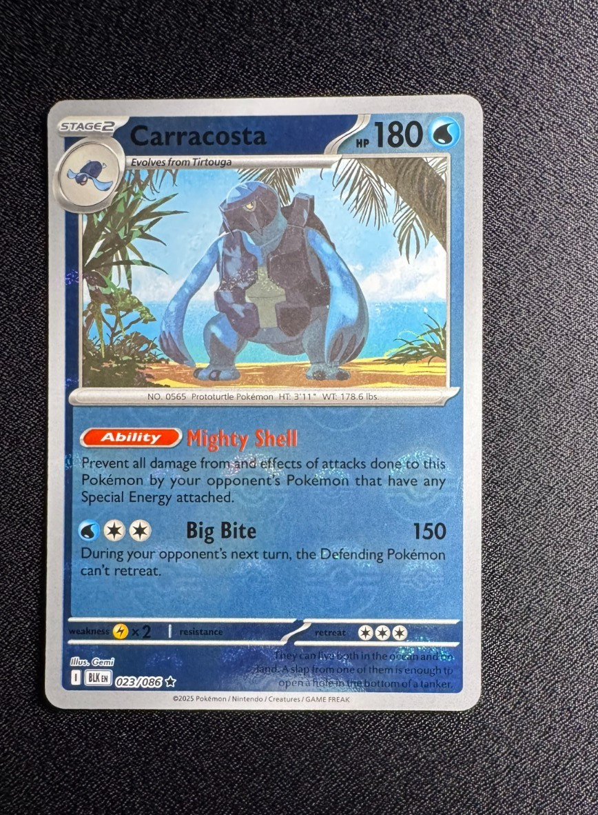 Pokemon Black Bolt Carracosta (Poke Ball Pattern) 023/086 Holo NM