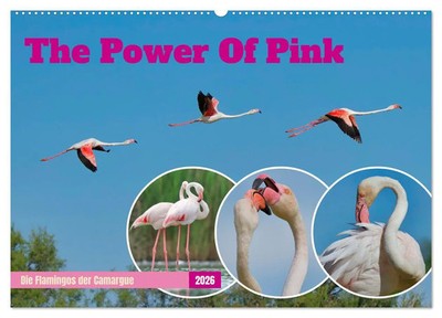 The Power Of Pink (Wandkalender 2026 DIN A2 quer), CALVENDO Monatskalender 2026