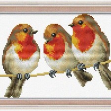Birdsong Cross Stitch Kit - Easy Patterns for Embroidery, Stamped or Counted - P