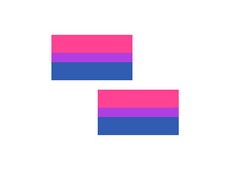 Bisexual Flag Colors Temporary Tattoos, 2 LGBTQA Pride Tattoo Faux Body Art Tats
