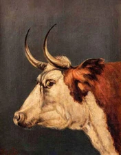 Portrait of Short Horned Bull  by Arthur Fitzwilliam Tait old art