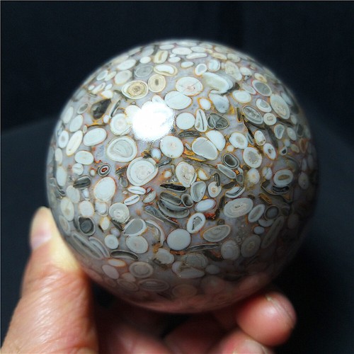 TOP 529G 71mm Natural Polishing Ocean Jasper Ecology Ball Healing Stoae BA860 - Picture 4 of 17