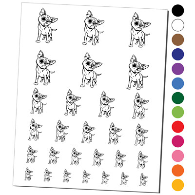 Suspicious Chihuahua Dog Temporary Tattoo Water Resistant Set