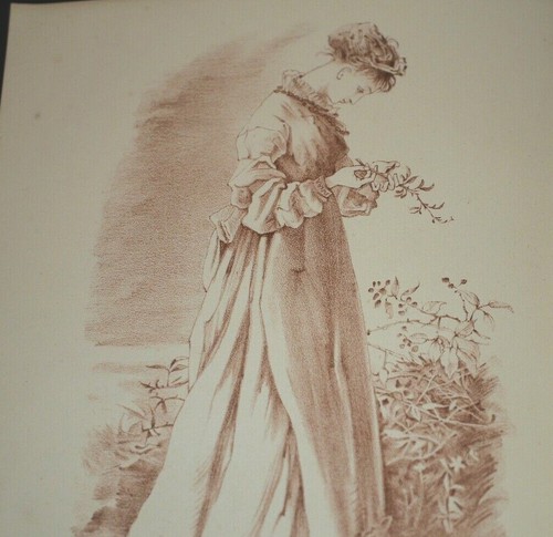 Mrs H.R. Haweis The Art of Decoration 1889 - Imagen 6 de 9