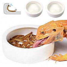 Reptile Food Dish Bowl 2Pcs Lizard Gecko Worm Water Bowls Small 2.75in 