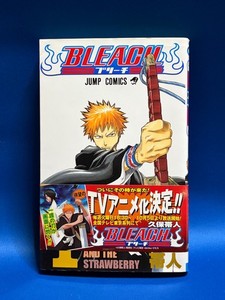 Bleach Manga Vol 1 | eBay