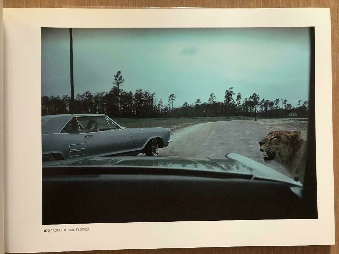 Rare SIGNED Joel MEYEROWITZ Out of the Ordinary 1970-1980 Episode