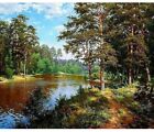 Paint By Numbers Adults kids Forest River Diy Painting Kit 40x50Cm Canvas