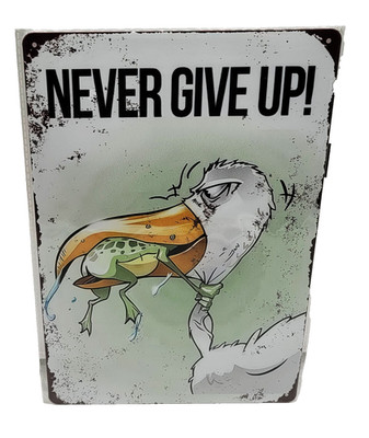 Blechschild Retro 30x20 cm Never Give Up! Deko Motivation Spass Spruch Frog Fun