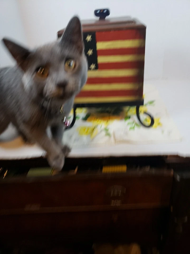 WOODEN LIDDED PATRIOTIC BOX WITH Cast Iron Stand. Match Box Fire Place Storage - Image 2 of 4