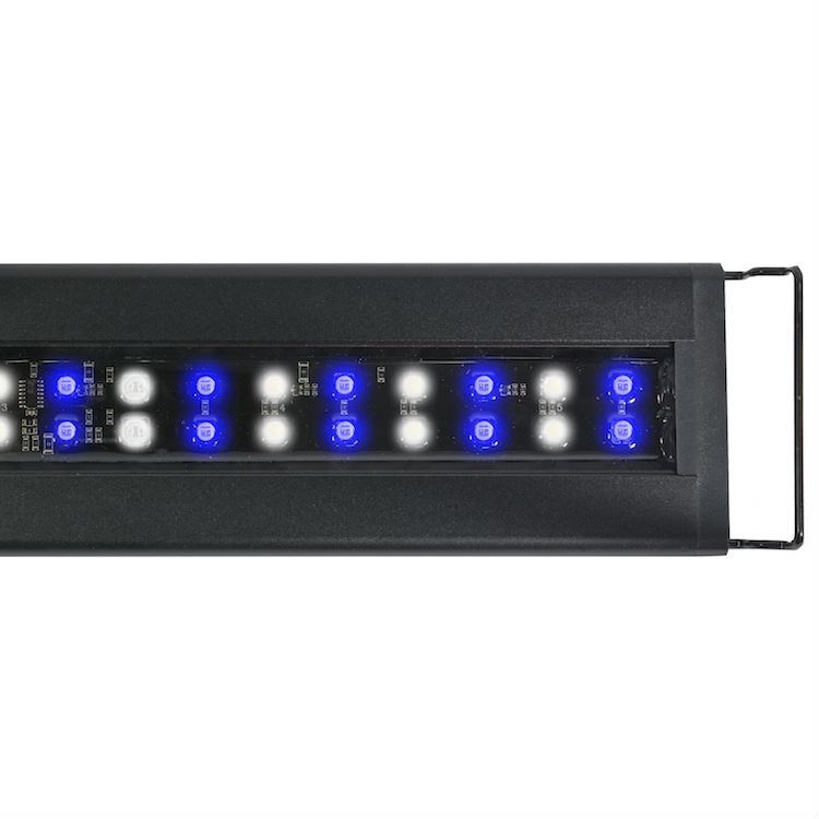 Current USA Orbit Marine IC LOOP Accessory LED Light Fixture – Fits 18-24 Inch Tanks