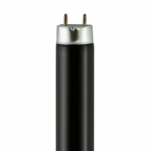 F30t8 2024