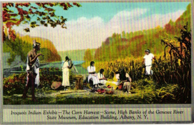 Iroquois Indian Exhibit Postcard Corn Harvest Genesee River Unposted Albany NY