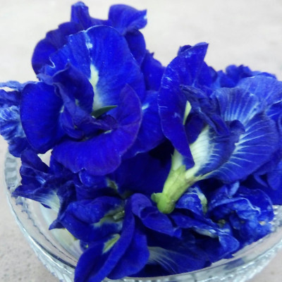 Ceylon Butterfly Pea Dried Flower Organic 100% Natural Herbal 100g Net