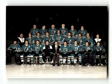 1995-96 Rising Star Muskegon Fury COHL Team Photo TC BXCP06 ID: 20709