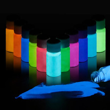 Glow in the Dark Powder 12 Colors Epoxy Resin Dye Luminous Pigment Powder Safe L