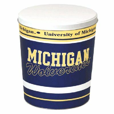 michigan(ミシガン) USA製 90s Champion R/W Sweatshirt 