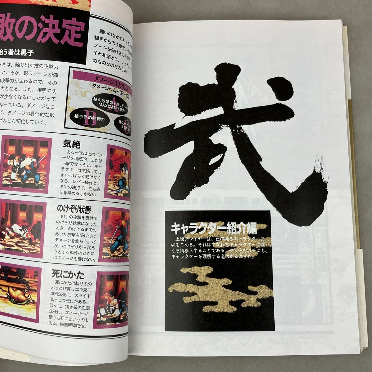 SNK Shin Samurai Spirits Shodown II Strategy Guide Book Japan 