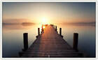 Bild 8 von 239