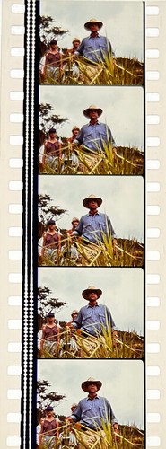 Jurassic Park 1993 Very Rare Unmounted 35mm Film Cells - Steven Spielberg - Picture 38 of 142