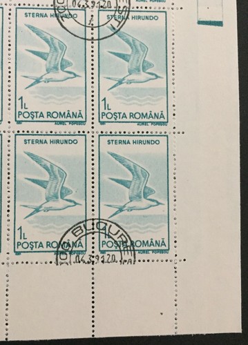 Rumänien 1991 Vögel Komplettset (40 Briefmarken) CTO NH 3639-3648 - Bild 5 von 12