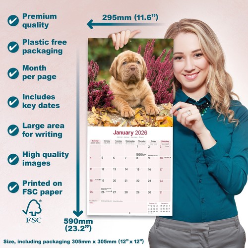 Dogue de Bordeaux 2026 Calendar | Dog Breed Gift Wall 15% OFF MULTI ORDERS - Picture 6 of 8
