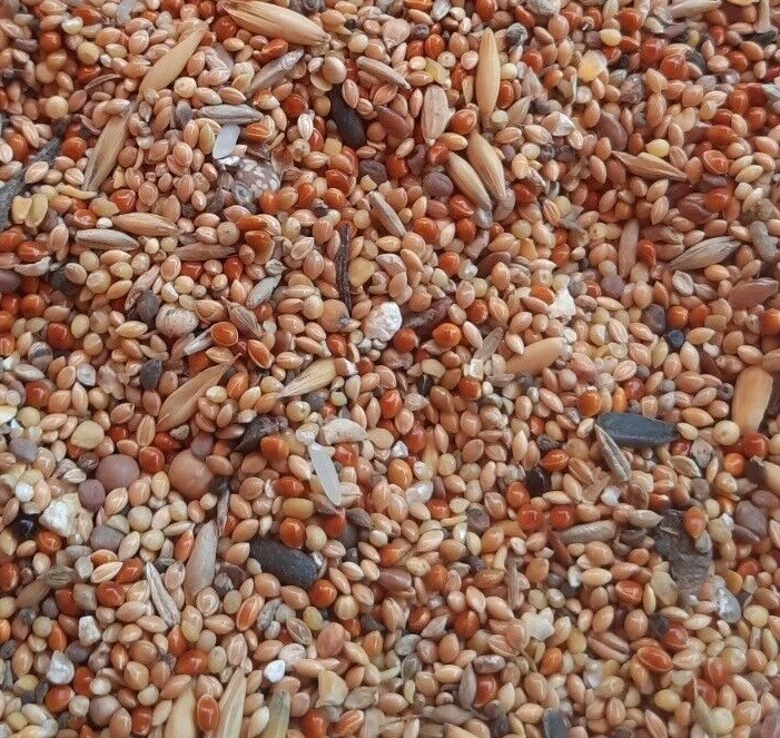 25 kg Vogelfutter TOP PREIS Streufutter Vogelfuttermischung 4 Jahreszeiten 25kg - Bild 4 von 4