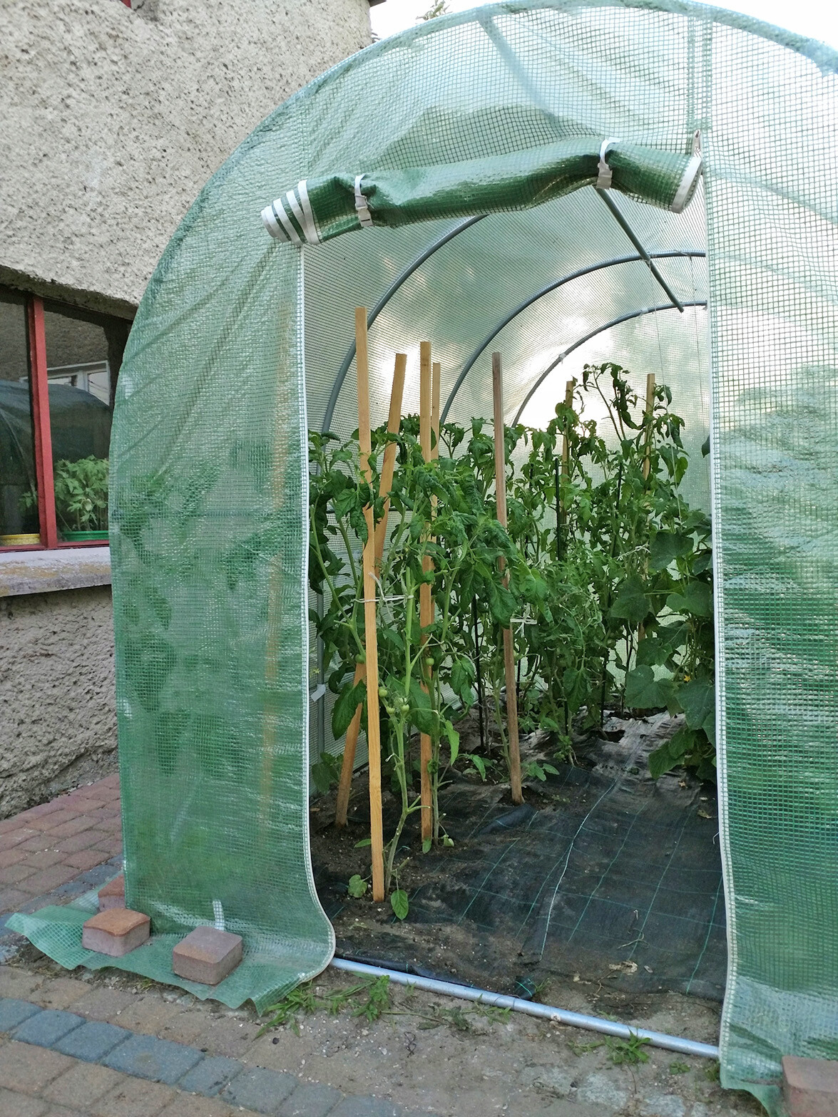 PREMIUM 2x3m 3x10m Gewächshaus Foliengewächshaus Folienzelt