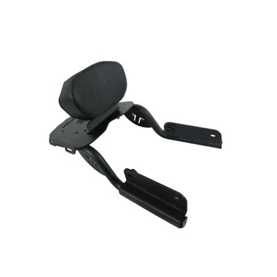 Carrier with Backrest Black Moto Care fit for Triumph Speed 400 Luggage Rack