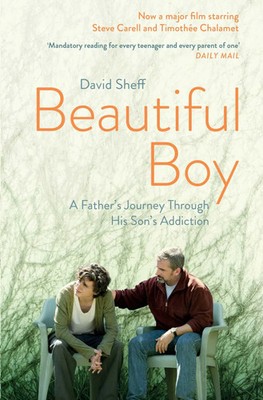 Beautiful Boy | David Sheff | A Father's Journey Through His Son's Addiction