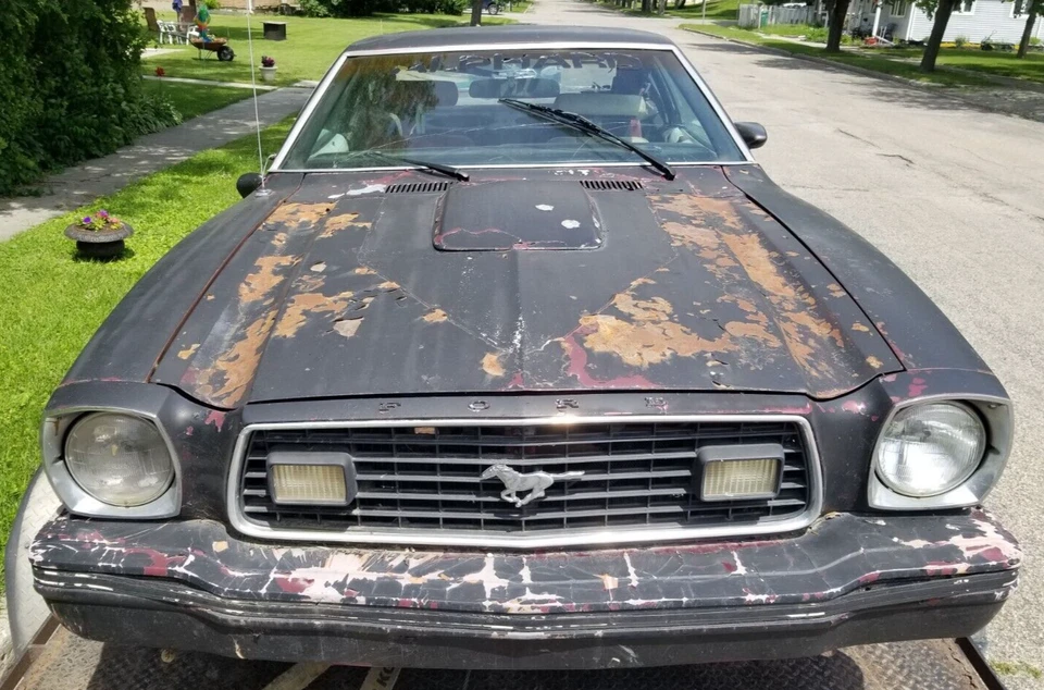 进气歧管 Holley Contender 289 302 1964-86 福特野马卡车都灵 — 第 4/4 张图片