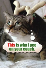 Pee On Couch Cat Humorous  Funny Nobleworks Christmas Card