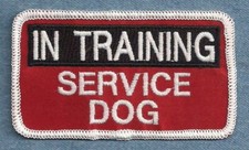 IN TRAINING SERVICE DOG - service dog vest patch