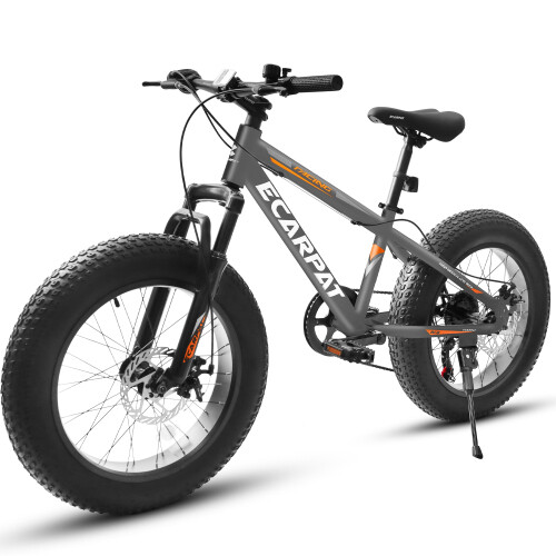 Elecony 20'' Fat Tire Bike Adult/Youth Full Shimano 7 Speeds Mountain Bike Grey