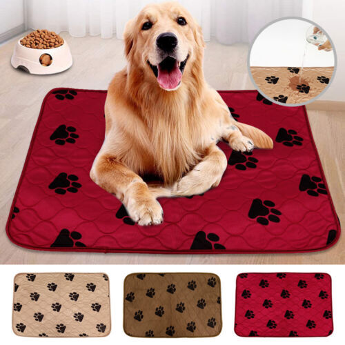 Muddy Mat PURRUGS Super Absorbent Doormat Traps Dirt Mud
