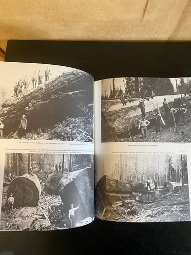 Holzfäller der Redwoods 1975 von John Labbe und Carranci - Bild 6 von 9