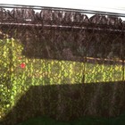 Bild 9 von 55