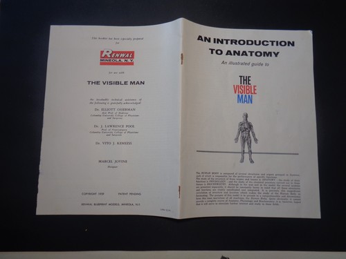 RENWAL "The visible man" anatomia del corpo umano giocattolo educativo - Photo 10/13