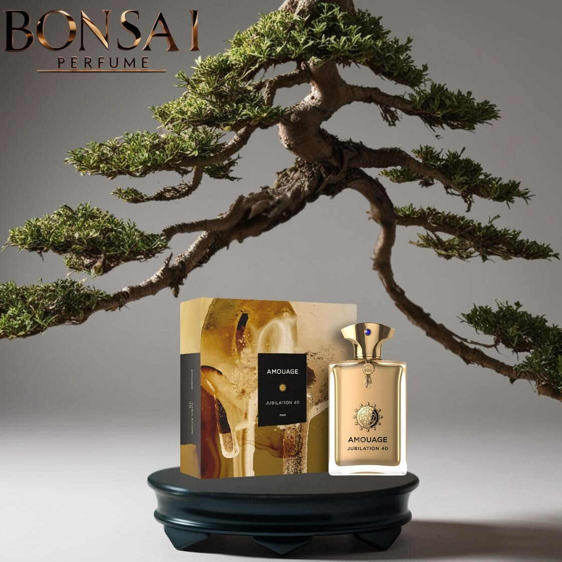 アムアージュ　ジュビレーション40(100ml) AmouageJubilation40Extrait_Box