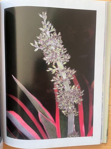 COLOMBIA Land of Flowers Floriculture Horticulture Botany Gardens History HCDJ - Imagen 10 de 17