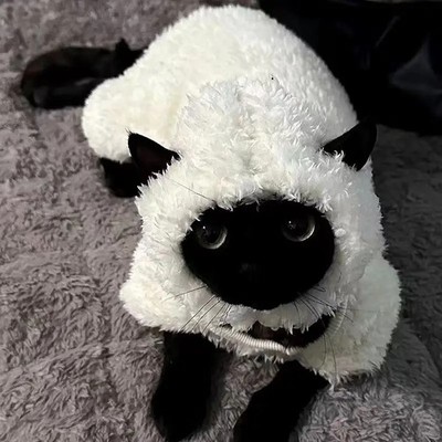 Hairless Cat Clothing Autumn and Winter Plush Sphinx German Cat Lamb Wool Cotton
