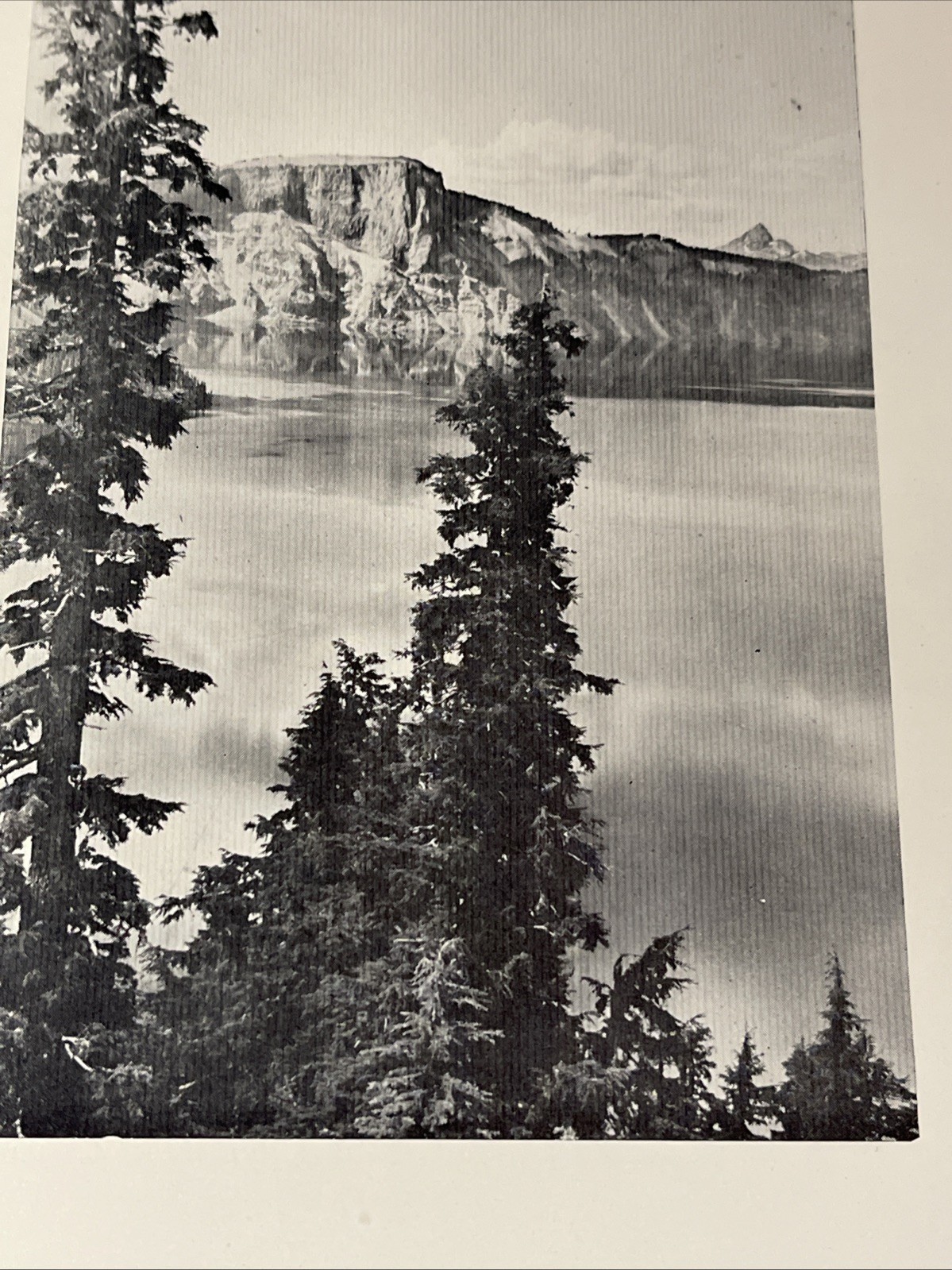 Picture 8 of 17