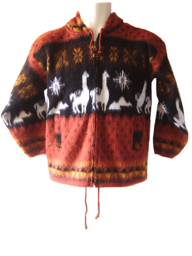WHOLESALE LOT OF 10 HECTOR ALPACA JACKETS WITH HOOD - SIZE: 6 - 8,5V - Picture 5 of 12