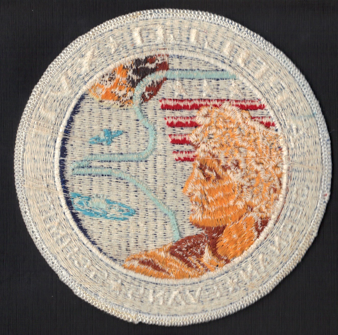 APOLLO 17 LION BROTHERS VINTAGE ORIGINAL NASA Hallmarked CLOTH BACK ...