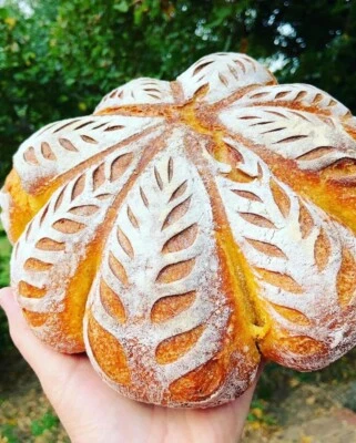 MOM'S HEIRLOOM SAN FRAN SOURDOUGH STARTER 233yr Old Verified Heritage San Francisco Sourdough Starter VERY STRONG verified