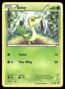 Snivy 1/114 Black & White Pokemon TCG trading card