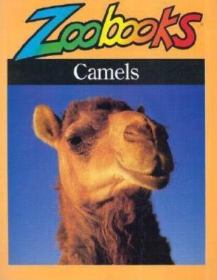 Camels (Zoobooks Series) Wexo, John Bonnett paperback Used - Very Good